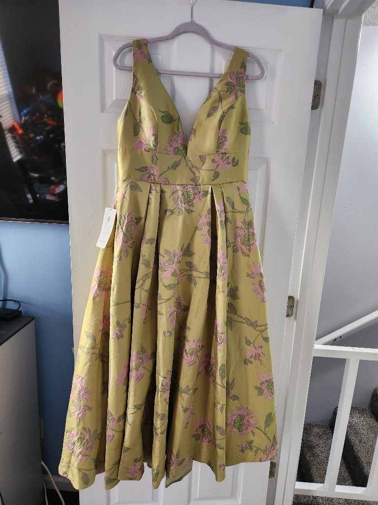 Shirees Evening Dress
